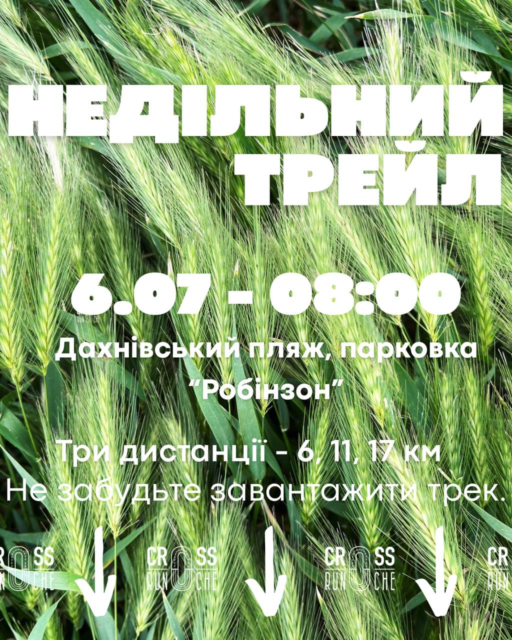 Бобри
