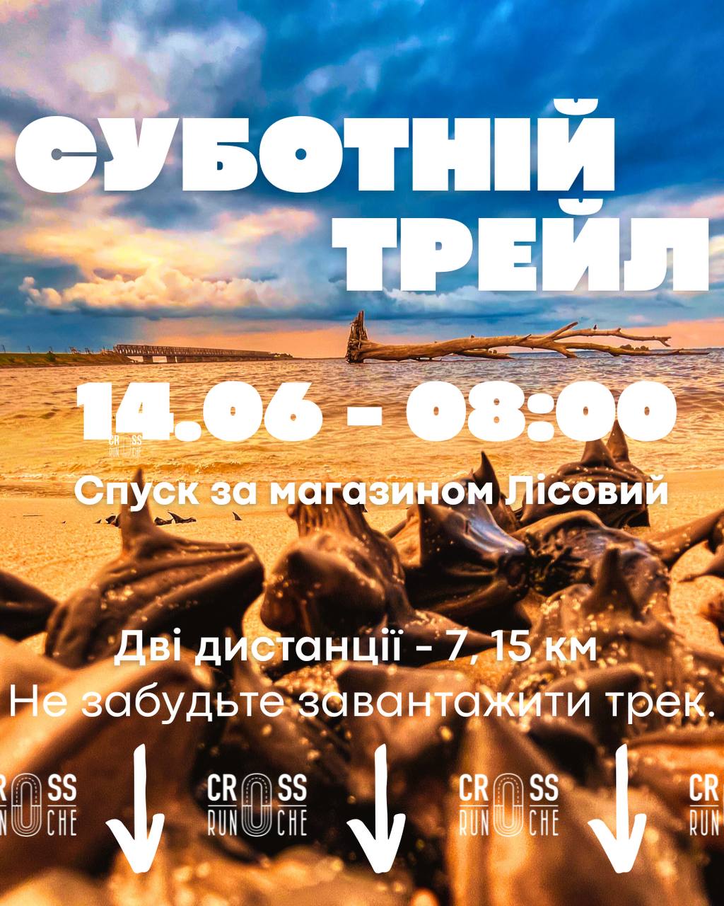 В пошуках Городища