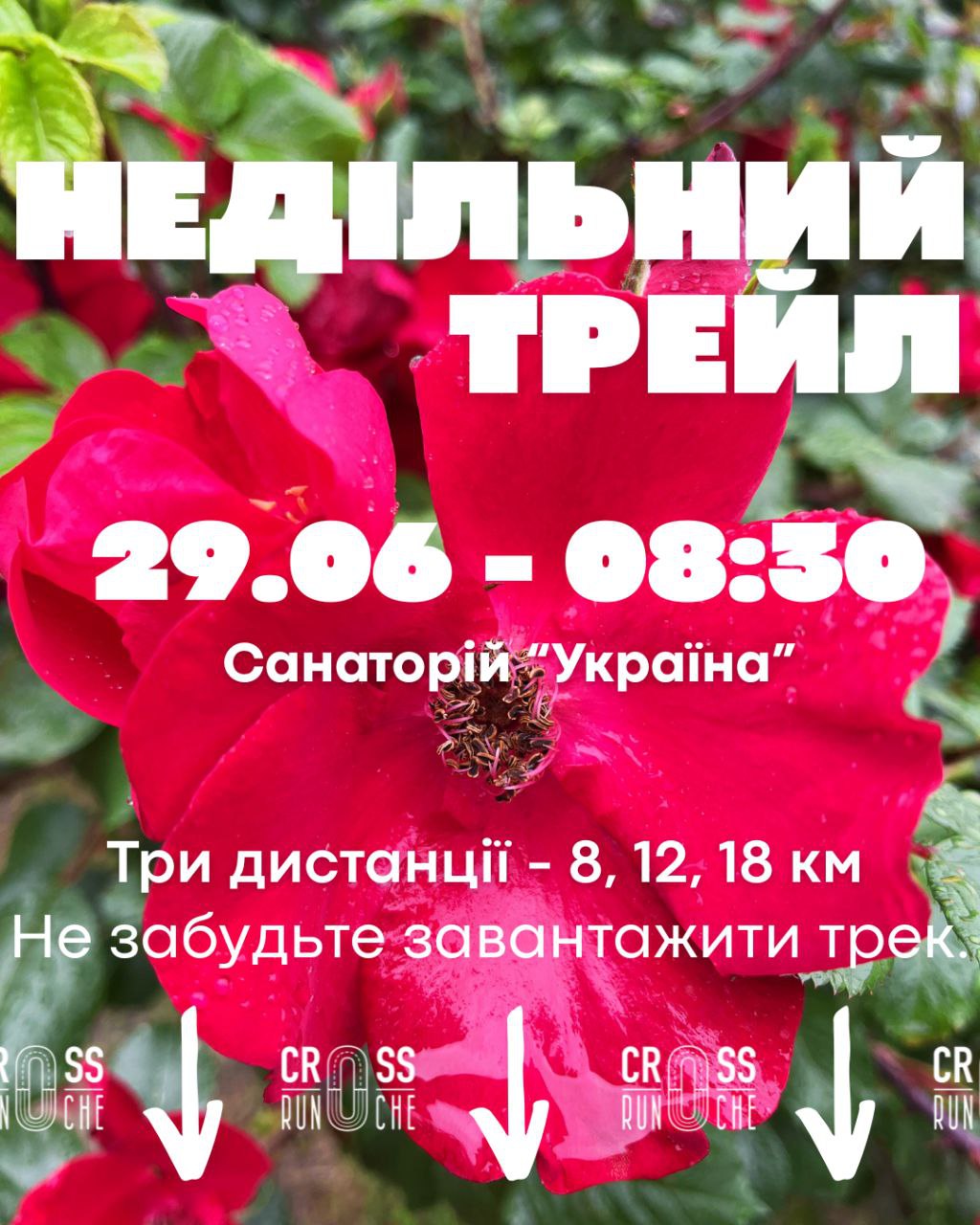 Недільний трейл
