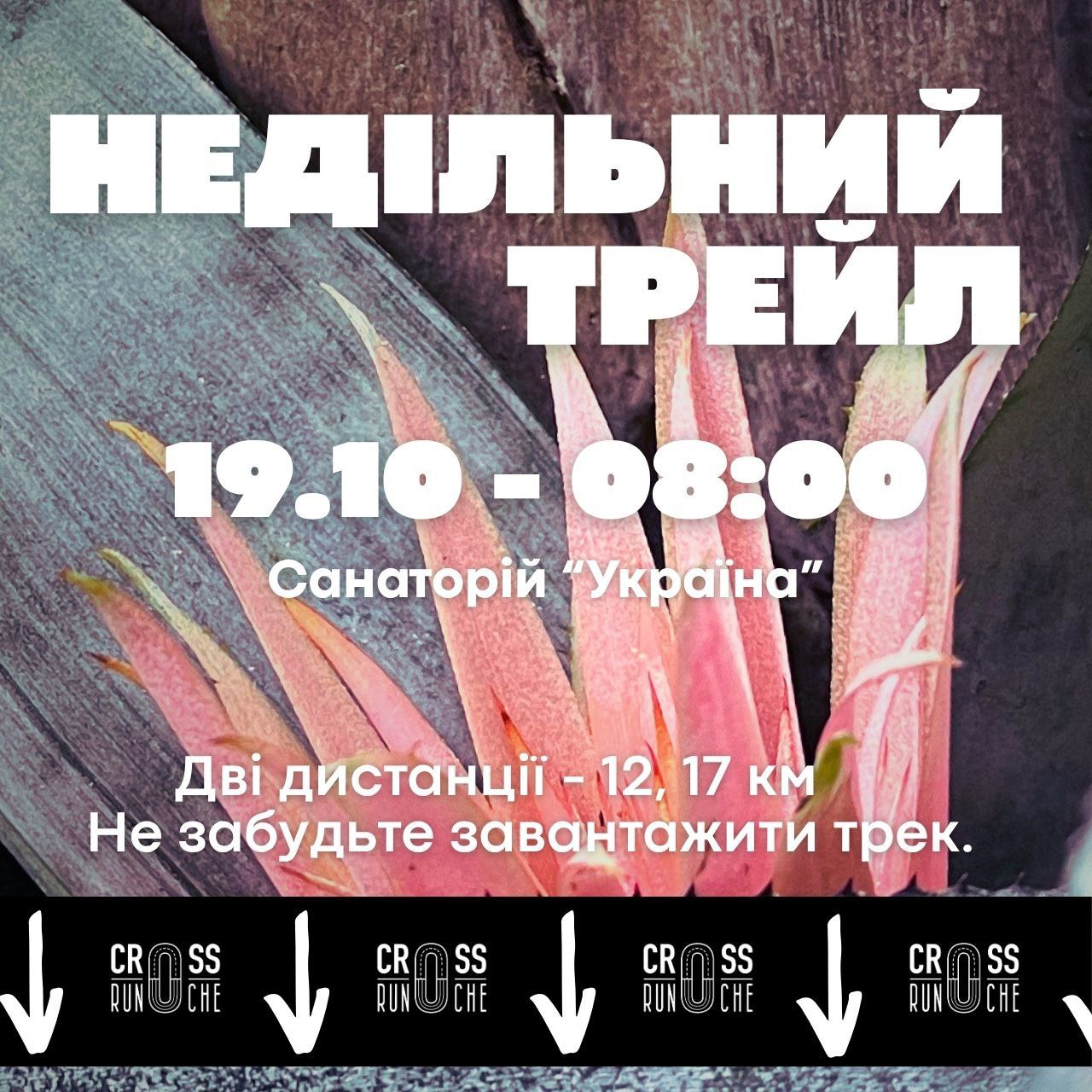 Жовте листя